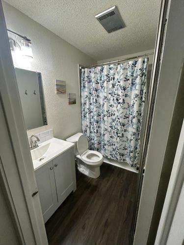 a bathroom with a toilet and a sink and a shower curtain at FORT HAM: Just Like Home to SeaWorld MedVA in San Antonio