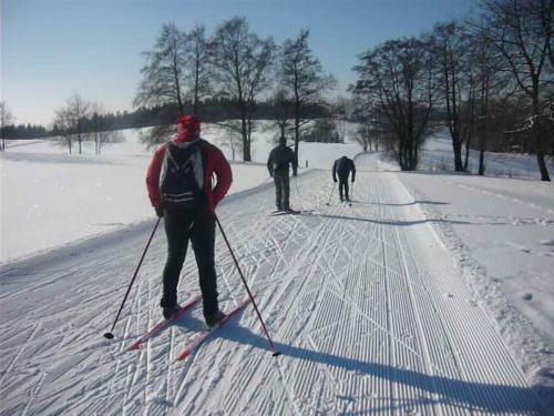 three people are cross country skiing in the snow at Ubytování Sedlařík Mladé Buky in Mladé Buky