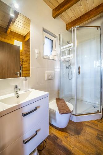 a bathroom with a shower and a toilet and a sink at Fajne Domki in Jastarnia
