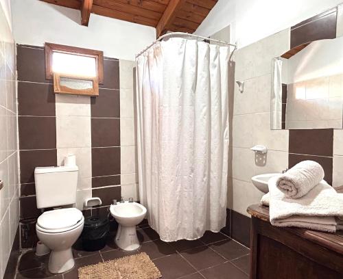 a bathroom with a toilet and a sink and a shower at Cabaña Cali in Cafayate