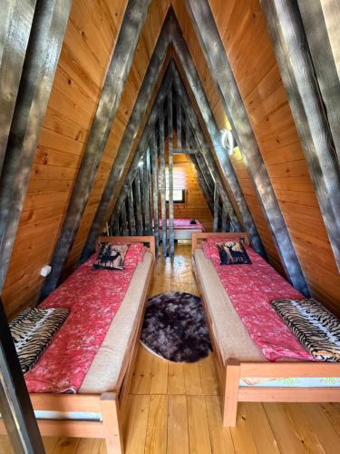 two beds in a room with wooden walls at Tara lux in Mojkovac