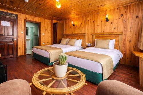 a room with two beds and a table with a cactus at Denizci Hotel in Sinop