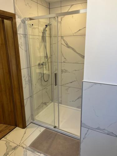 a shower with a glass door in a bathroom at Chameleon House in Dornoch