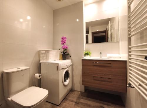 a bathroom with a toilet sink and a washing machine at AC Apartaments Incles in Incles
