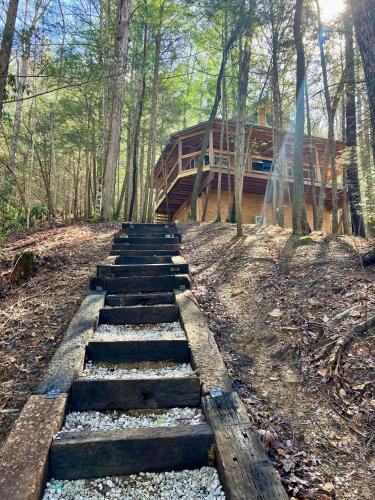 a set of steps leading to a house in the woods at The Founder - Iconic Rockhouse Cabin in Campton
