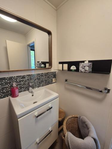 a bathroom with a sink and a mirror at Appartement confortable Dog friendly in Membre