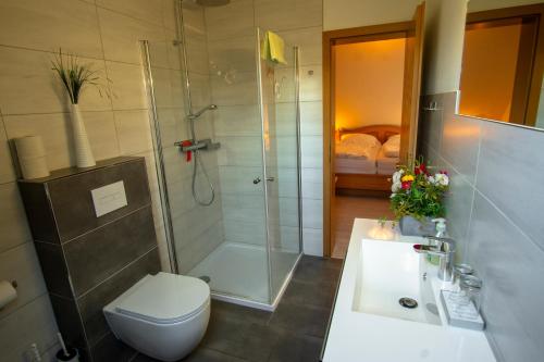a bathroom with a shower and a toilet and a sink at Pension An der Bleiche in Wustrau