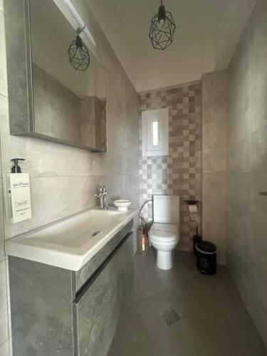 a bathroom with a sink and a toilet at Coral Nikiti Apartments I in Nikiti