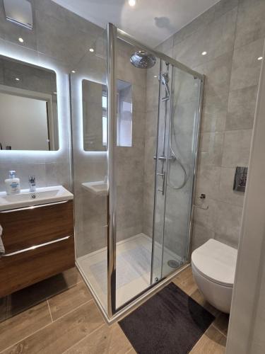 a bathroom with a shower and a toilet and a sink at Holyport Studio flat in Bray