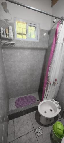 a bathroom with a shower with a toilet and a sink at Cabaña Puntana in La Punta