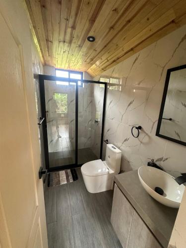 a bathroom with a toilet and a sink at Villa Alpina in Oxapampa