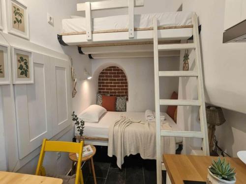 a bedroom with a bunk bed with a ladder at Mykonos Town Home for Two in Megali Ammos