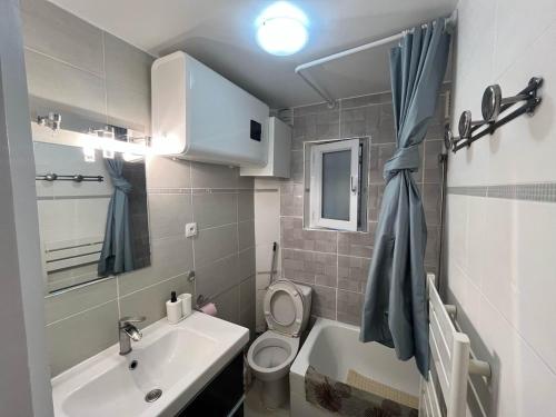 Cozy sunny entire apartment in the 16th arrondissement of Paris with a panoramic view of the Eiffel Tower just 3 minutes from the door Includes kitchen, bathroom, and living room