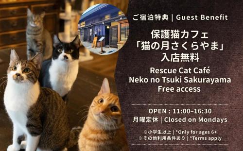 a flyer for a cat cafe with three cats at NEKO no TSUKI in Takayama