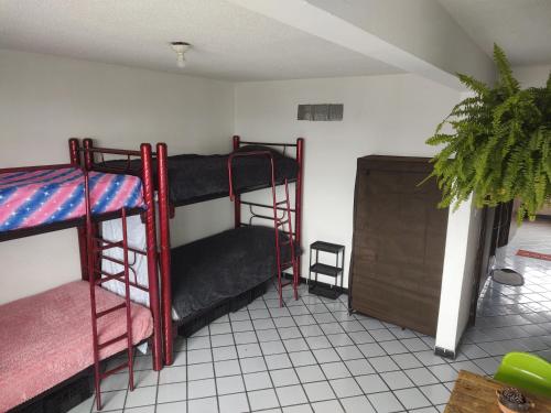 a room with two bunk beds and a table at Hostal Santa Anna in Xalapa
