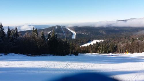 a view of a ski slope in the snow at Apartmány Nova Lake in Nová Pec