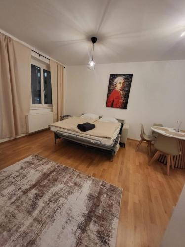 City Apartment Stephansdom