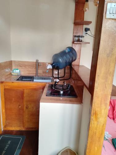 a tiny kitchen with a stove and a sink at Cabin Wetan Kali Dieng in Diyeng