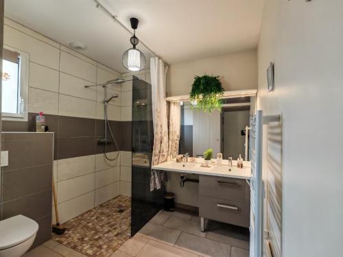 a bathroom with a sink and a shower and a toilet at Le balcon des cimes in Adast
