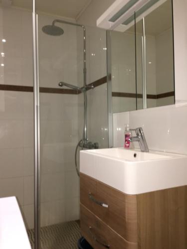 a bathroom with a sink and a shower at FlatsinRoi Apartments in Rovaniemi