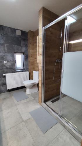 a bathroom with a toilet and a glass shower at Apartmán Kozolupy in Kozolupy