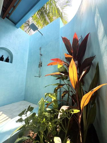 a bathroom with a plant in the corner at Confluence Siargao in General Luna