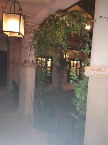 an entry to a building with a bunch of plants at La Venta del Arriero in Retuerta de Bullaque