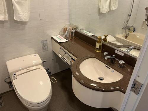 a bathroom with a toilet and a sink at Fukuyama New Castle Hotel in Fukuyama
