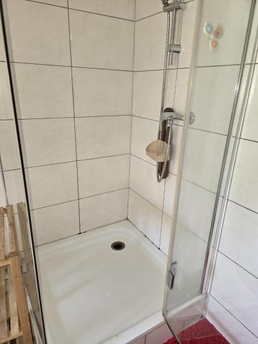 a shower with a glass door in a bathroom at Gasthasu Weisses Schäfli in Arbon