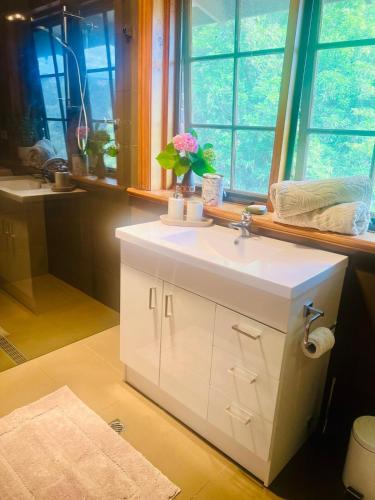 a bathroom with a sink and a window at Bodhi Valley BnB in Golden Grove