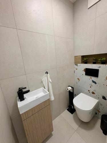 a bathroom with a toilet and a sink at Vinopool Suites Badacsony in Badacsonytomaj