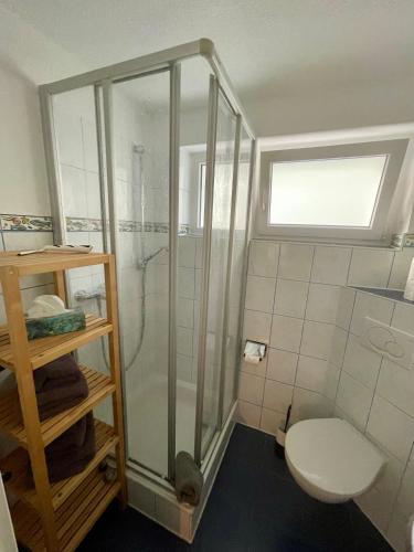 a bathroom with a shower and a toilet at Ferienwohnung Mutter in Schluchsee