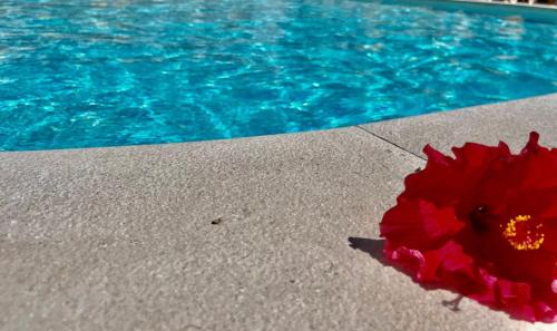Cabanas Apartment Private Pool & Free Parking 5 min drive to beach