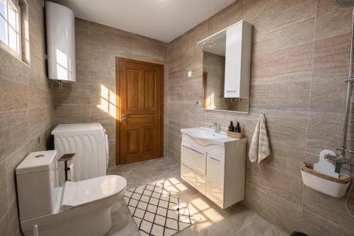 a bathroom with a toilet and a sink and a mirror at Villa Alera in Dobra Voda