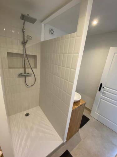 a bathroom with a shower and a sink at Le Narlay in Le Frasnois
