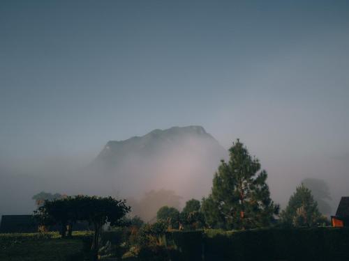 a foggy field with trees and a hill in the background at The CAMPIAN in Chiang Dao