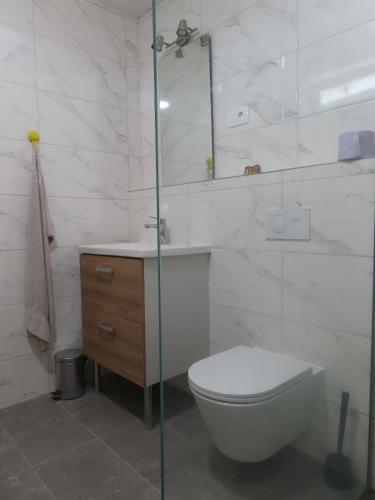 a bathroom with a toilet and a glass shower at The Ramsons - Čemaž Glamping in Železniki