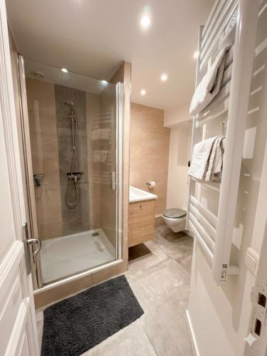 a bathroom with a shower and a toilet at DUPLEX SUBLIME ET LUMINEUX au CENTRE VILLE 10 minutes de Paris Parking privée souterrain in Rueil-Malmaison