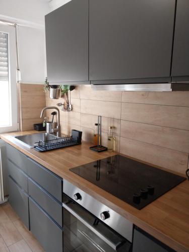 Logement central proche gare