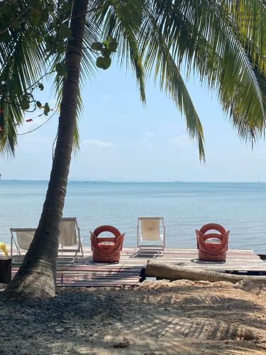 a beach with chairs and a palm tree and the ocean at Baankonhualamkohlibong in Ko Libong Island