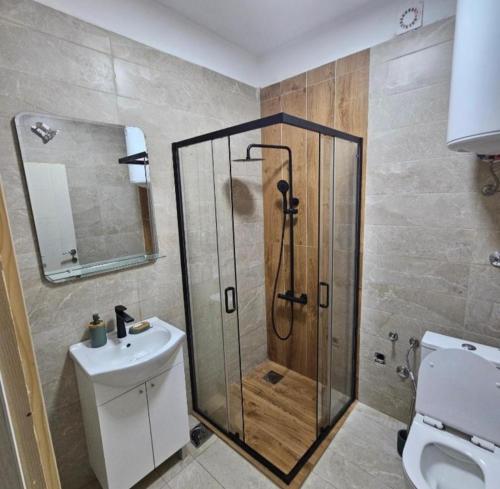 a bathroom with a shower and a toilet and a sink at Apartments Agnes in Dobrota
