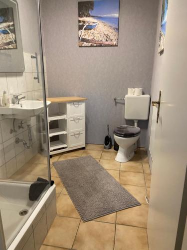 a bathroom with a toilet and a sink and a shower at Ferien-Landleben in Löbnitz