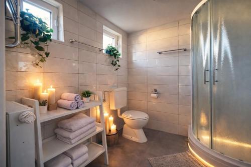 a bathroom with a toilet and a shower and candles at Bled Vista Apartments in Bled