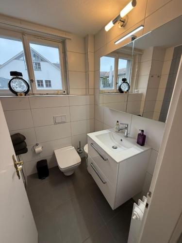a bathroom with a sink and a toilet and a mirror at Haus Enisa in Horgen