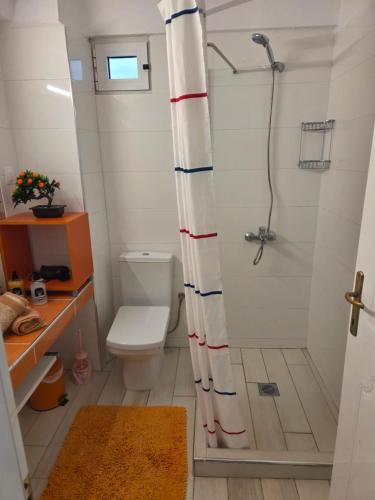 a bathroom with a shower and a toilet at Aura in Gerakini
