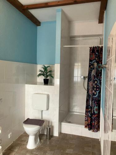 a bathroom with a toilet and a shower at Apartmentpension Am Krongut in Potsdam
