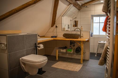 a bathroom with a toilet and a sink at Ferienhaus Sonne in Jiříkov