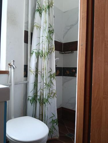 a bathroom with a toilet and a shower curtain with a plant at Noclegi Adam in Radonia