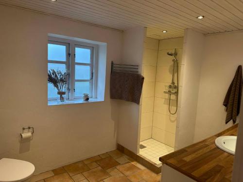 ein Badezimmer mit Dusche, Waschbecken und Fenster in der Unterkunft Tøndegården 3 rooms apartment in Odense