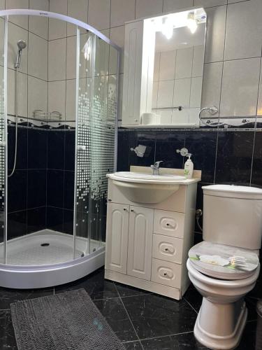 a bathroom with a toilet and a sink and a shower at Casa Noel in Târgu Ocna